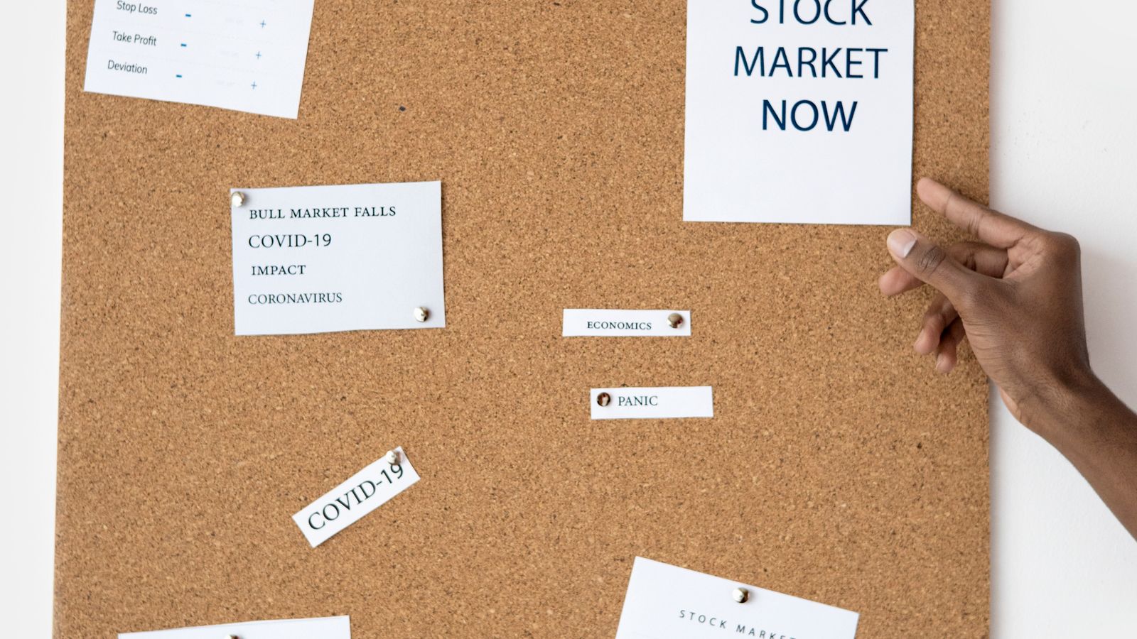 Analytics dashboards and growth charts on a managed delivery workspace